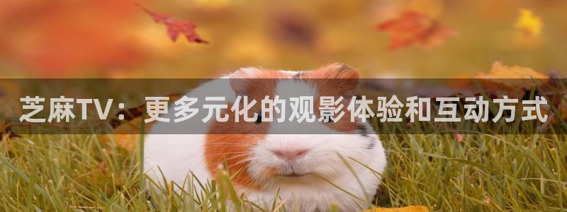 青柠影院做爰视顿：芝麻TV：更多元化的观影体验和互动方式