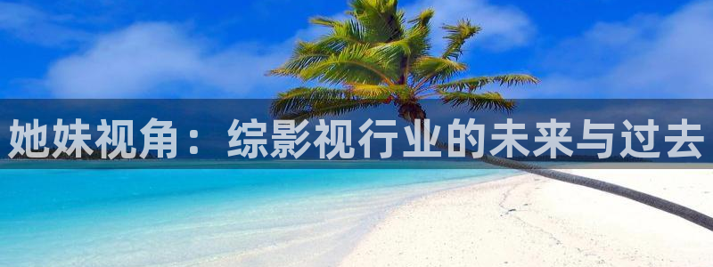 青柠在线电视剧免费观看策驰影院：她妹视角：综影视行业的未来与过去