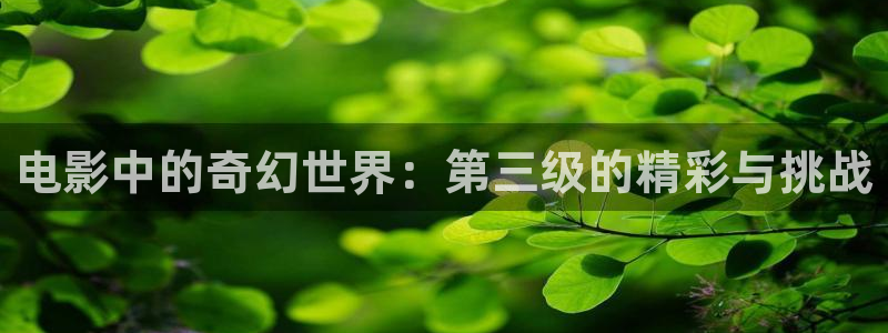 青柠影院影视大全：电影中的奇幻世界：第三级的精彩与挑战
