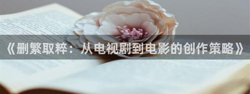 青柠影院免费观看电视剧狂飙：《删繁取粹：从电视剧到电影的创作策略》